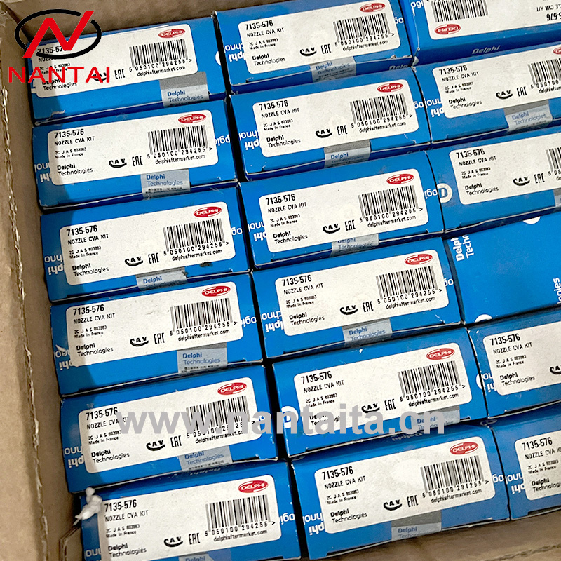 7135-576 Delphi New Injector Repair Parts Nozzle Valve Kit